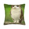 Home Decor Meowl Cat Owl Meme Pillowcase Accessories  Pillow Cover Square Multi-Size