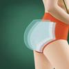 Leak Proof Menstrual Briefs High Waist Physiological Underwear Simple Period Pants  Women