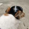 Yousheng Pet Headgear Breathable Ultra-Light Adjustable Dual Holes Design Easy-wearing Dress Up Polyester Multi-Sport Outdoor Bike Motorcycle Pet Cap