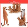 Pvc Static Animal Mongoose Models For Childrens Educational Toys And Collectibles