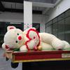 Bebek ve Peluş Oyuncaklar – Doldurulmuş ve Peluş oyuncak hayvanlar
