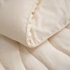 Mercury Home Textiles Chenxiang Soft & Warm Antibacterial All-Season Quilt