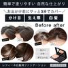 Refine Hair Foundation for Gray Concealer Women, (1 refill)