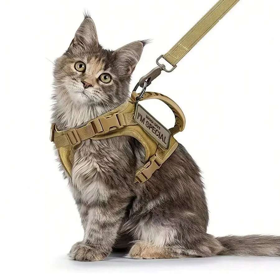 Outdoor Tactical Cat Harness for Walking Escape Proof Adjustable Waterproof Pet Harness Soft Mesh Vest for Large Cat Small Dog