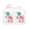 Dettol Disinfectant Moisturizing Hand Wash Twin Pack