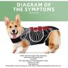 Dog Back Support Brace – Relieves IVDD,Hip Dysplasia, Arthritis & Spinal Injuries Adjustable Breathable Design Spinal Brace Vest