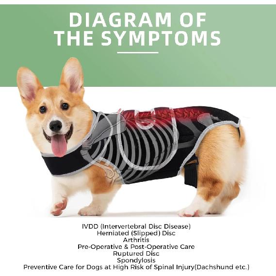 Dog Back Support Brace – Relieves IVDD,Hip Dysplasia, Arthritis & Spinal Injuries Adjustable Breathable Design Spinal Brace Vest