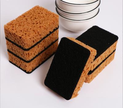 Köksborste Skål, Fyrkantig Havsbadssvamp, Skursvamp