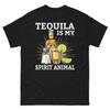 Everything Mixes Well With Tequila Except Decisions Unisex Classic Tee