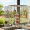 Parrot Chew Toy Natural Rattan And Pith Ball Bite-Resistant Bird Entertainment For Parrots Small Birds
