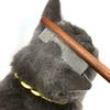 Stainless Steel Pet Hair Remover Comb with Wooden Handle for Cats Dogs Flea Tick Grooming Tool