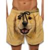 Stylish 3D Print Shorts for Men Featuring Cute Pet Dog Designs, Perfect for Casual Sports, Hip-Hop, Rock Parties, And Streetwear