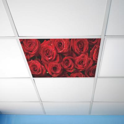 Rosa Vermelha Mar Quarto Sala Teto Casa Fundo Embelezamento Adesivos de Parede