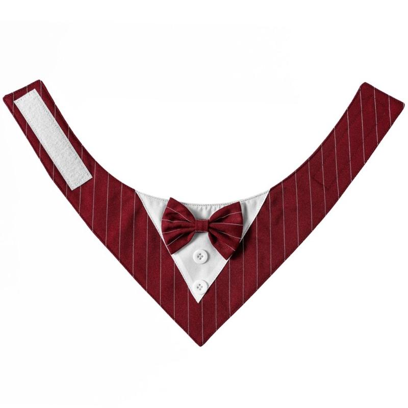 Collari a Papillon Regolabili Carini per Gatti Matrimonio Collare Tuta per Gatti con Grande Fiocco Papillon Elegante per Toelettatura Animali