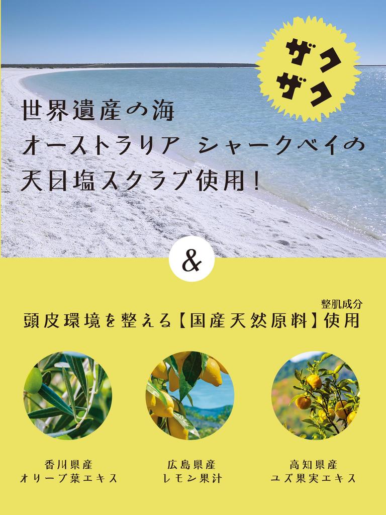 Sharky Scrub Shampoo Salt Green Charge Scent 220g [Sun-dried Scrub]