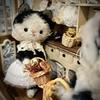 [USED] Artist Bear Plush Toy, Black Cat with Tongue Out, Teddy Bear by Overseas Artist