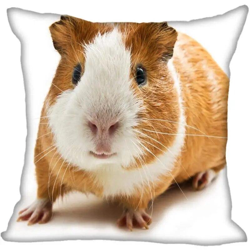 Living Room Pillowcase Guinea Pig   Modern Home
