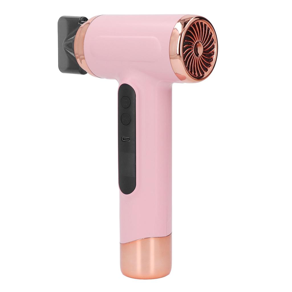Hair Blow Dryer Wet and Dry Use 200W Powerful Hair Dryer Portable Multifunctional Pet Blow Dryer for Travel