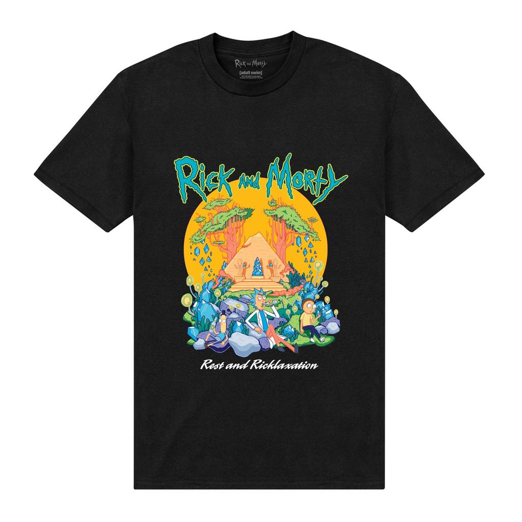 Rick And Morty Unisex Adult Pyramid T-Shirt