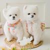 2025 spring new colorful plaid suspender skirt dog skirt small dog teddy bear pet clothes