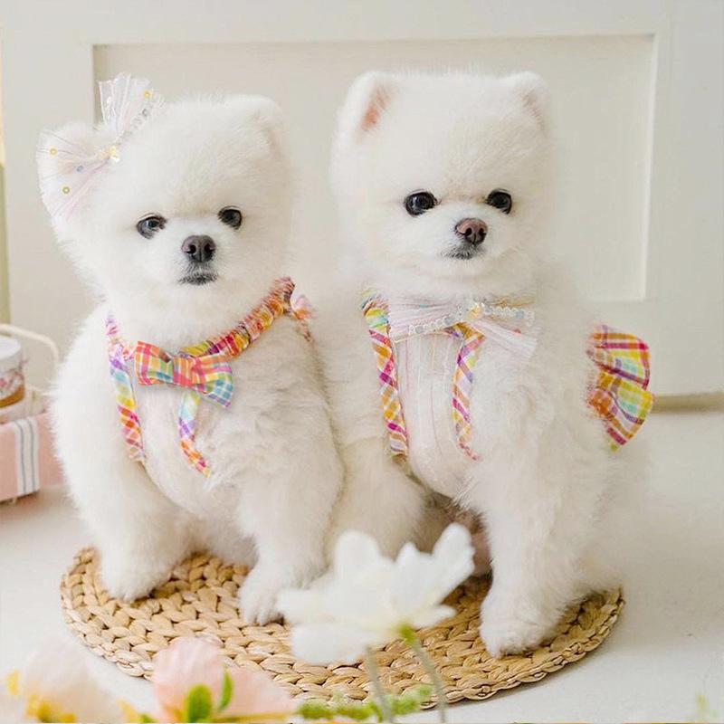 2025 spring new colorful plaid suspender skirt dog skirt small dog teddy bear pet clothes