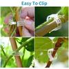 Garden Plant Clips Supports Reusable Plastic Fixing Vine Tomato Stem Grafting for Vegetables and Fruits In Orchard Tools