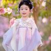 2026 Kids Hanfu: Tang Suit Fairy Dress - Ancient Chinese Style for Spring & Summer