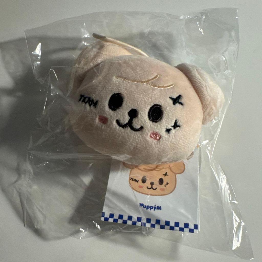 [USED] StrayKids KARMA POPUP Name Tag Puppy Seungmin
