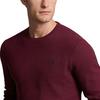 Polo Ralph Lauren Vyšívané logo malého poníka Jednobarevný Pletený svetr s dlouhým rukávem a kulatým výstřihem Pánský svetr Burgundský 710918163-514