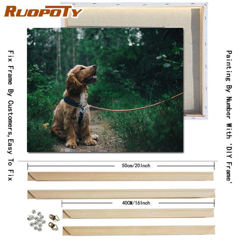 RUOPOTY S DIY rámem Zvířata Olejomalba DIY Malba podle čísel Moderní obraz na plátně Ručně malovaný domácí dekor 40x50cm