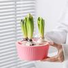 Hydroponic Planter 3 Hole Vase Flower Bulb Planting Container Hyacinth Planter Garden Windowsill Plant Pot Water Growing Kit