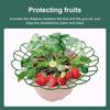 1/3Pcs Anti-ground Strawberry Stand  for Protecting Strawberries from Mold Rot and Dirt