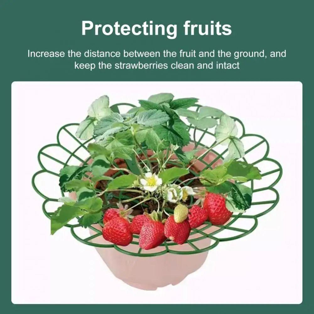 1/3Pcs Anti-ground Strawberry Stand  for Protecting Strawberries from Mold Rot and Dirt