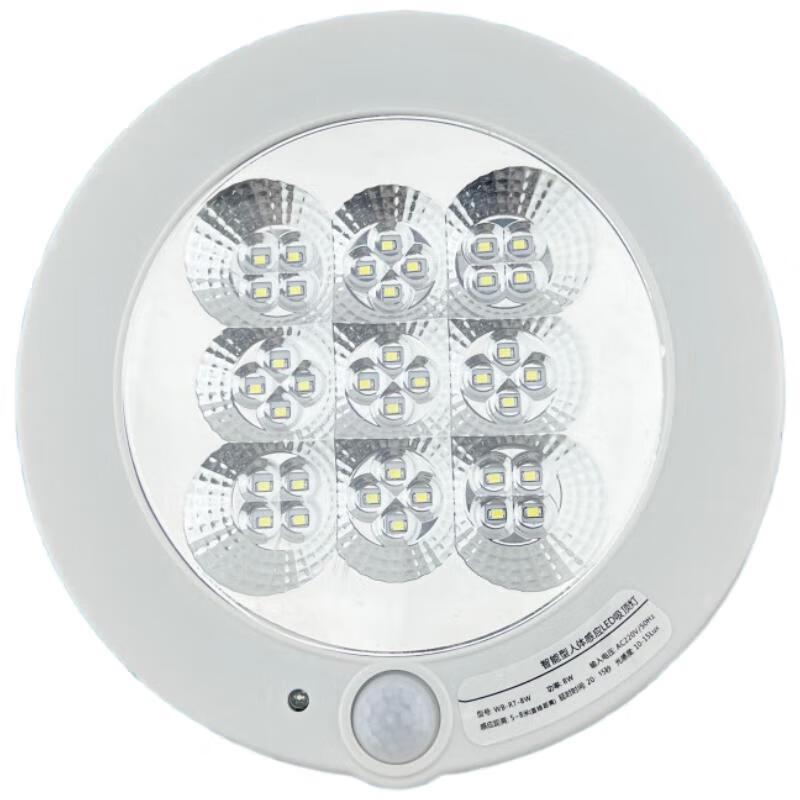 Yingyu LED Sensor Ceiling Light