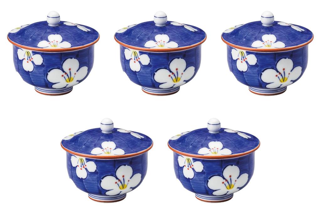 Set of 5 Hanagaya Lidded Teapots x 8cm Sencha with Lid Arita Ware Setomonohonpo [9 (170cc)] (Arita Ware)