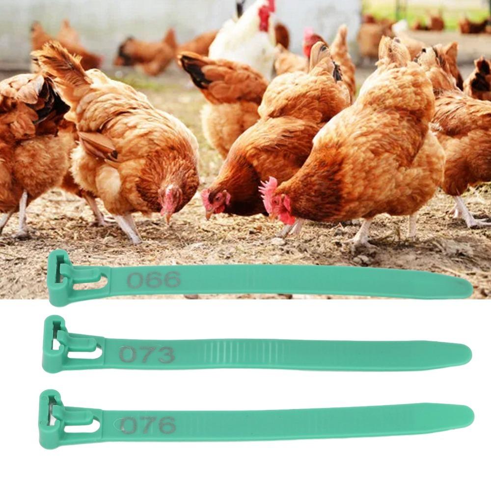 100Pcs Reusable Chicken Leg Rings PP Poultry Leg Bands Numbered Leg Bands  Poultry Management зелёный