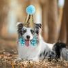 Pet Party Hat Bow Shiny Sequin Plush Ball Decor Adjustable Elastic Band Lightweight Anri-slip Cosplay Head Collar
