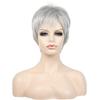 Ladies Ombre Silver Grey Wig With Bangs Short Natural Straight Synthetic Wigs for Women Fake Hair Wig Heat Resistant Wig