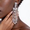 Silver Needle High-End Fashion Tassel Earrings – Elegant European & American Style with Niche Design Sense.