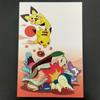 Pokémon New Card 2009 Postcard 1 Featuring and Meowth Year's (Center, Card) Pichu, Pikachu, Totodile, Cyndaquil, Chikorita