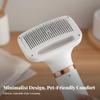 2in1 Pet Hair Dryer Brush Quick Dry Low Noise for Kitten/puppy 10W
