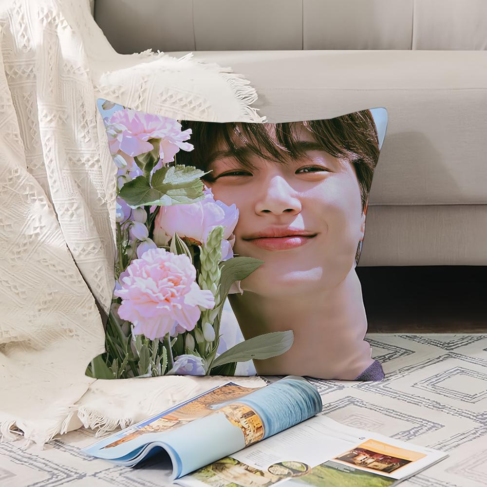 Korean model B-Byeon Woo S-Seok cushion cover Office Cushions Suitable For Sofa Car Bedroom Decorative Cushion Cover