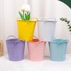 Flowerpot Candy Colored Iron Flower Pot Small with Handle Iron Bucket Plants Pen Holder for Home Garden Office