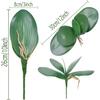 FagusHome 8 PCS Artificial Phalaenopsis Orchids Leaves 11 inches Green Faux Orchids Leaf (8 Pcs)