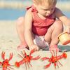 4Pcs Entertainment Smooth Edges Burr-free Simulation Lobster Model Boys Girls Pull Cord Toys