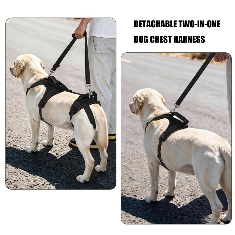 Two-Part Dog Support with Front Walking Section, Rear Support Section, and Side-Release Buckles for Daily Use