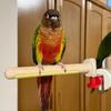 DIY Suction Cup Bird Climbing Perch Non-slip Grinding Claws Pole  Cage Enrichment