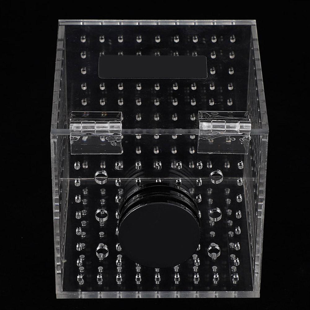 Acrylic Magnetic Aquarium Fish Breeding Isolation Box for Baby Fish Hatchery Incubator Cage