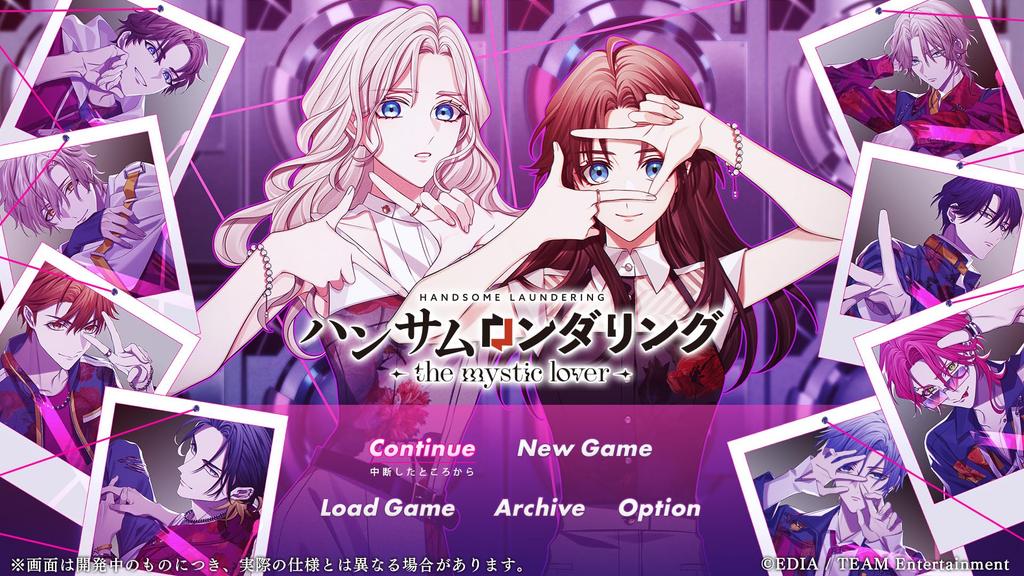 Handsome Laundering mystic Special Edition with bromide Switch -the lover- L-size -