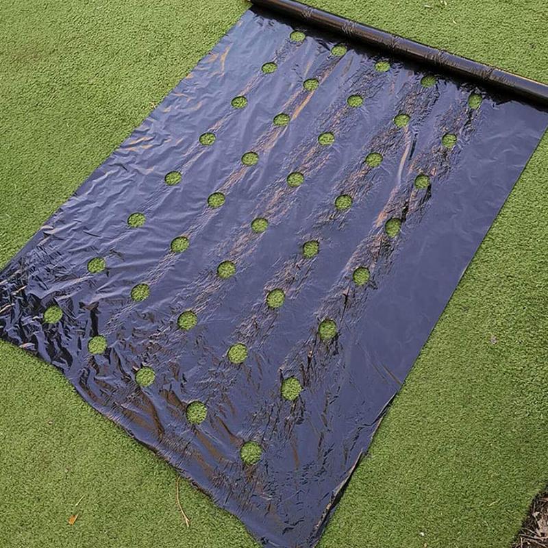 Buy Plastic Film with Planting Holes Garden Weed Control Barrier Film
